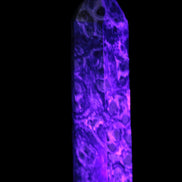 Kambaba Jasper wand 94mm 87g in UV light -  Rocks and Things Store