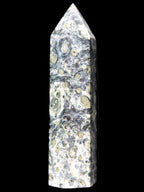 Kambaba Jasper wand 94mm 87g in sunlight -  Rocks and Things Store