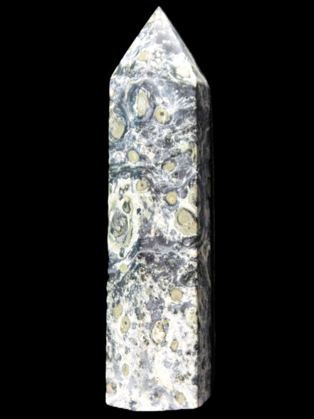 Kambaba Jasper wand 94mm 87g in sunlight -  Rocks and Things Store