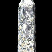 Kambaba Jasper wand 94mm 87g in sunlight -  Rocks and Things Store