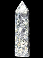 Kambaba Jasper wand 94mm 87g in sunlight -  Rocks and Things Store