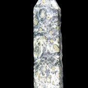 Kambaba Jasper wand 94mm 87g in sunlight -  Rocks and Things Store