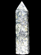 Kambaba Jasper wand 94mm 87g in sunlight -  Rocks and Things Store