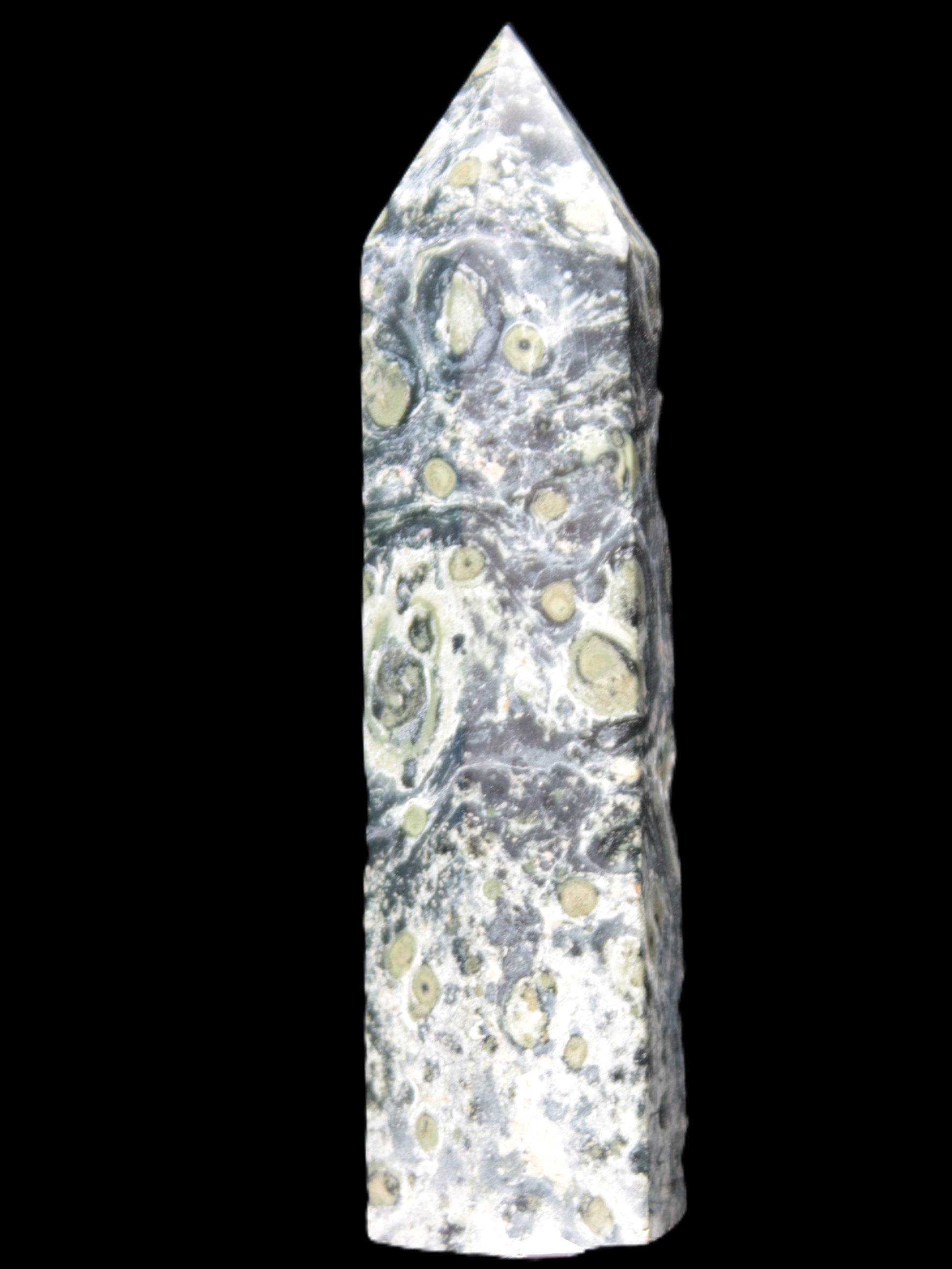 Kambaba Jasper wand 94mm 87g in sunlight -  Rocks and Things Store