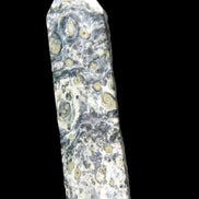 Kambaba Jasper wand 94mm 87g in sunlight -  Rocks and Things Store