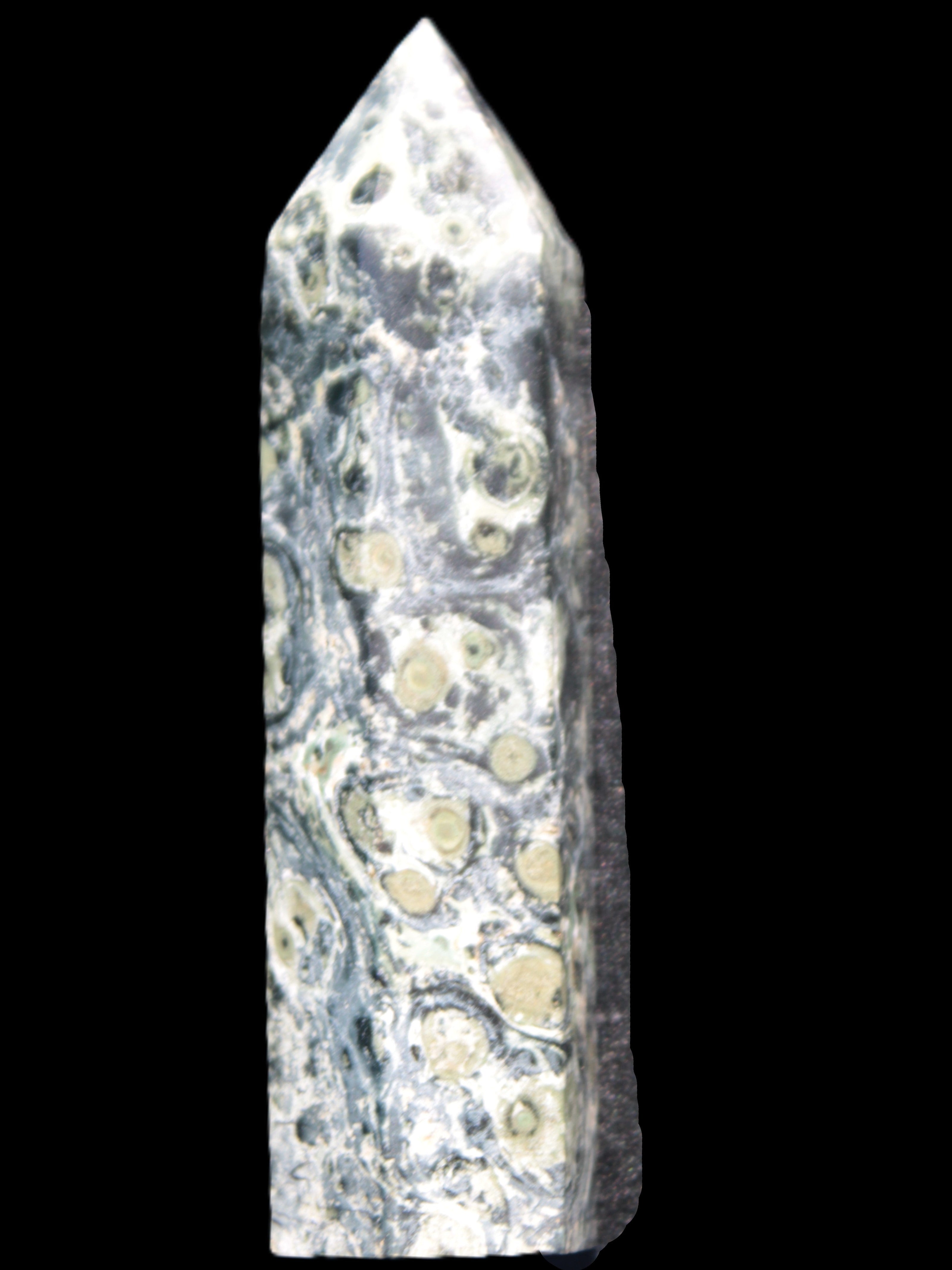 Kambaba Jasper wand 94mm 87g in sunlight -  Rocks and Things Store
