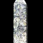 Kambaba Jasper wand 94mm 87g in sunlight -  Rocks and Things Store