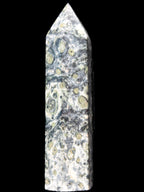Kambaba Jasper wand 94mm 87g in sunlight -  Rocks and Things Store