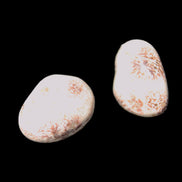 Teardrop Cherry Blossom Jasper 2 stones 10g Rocks and Things Store