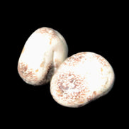 Teardrop Cherry Blossom Jasper 2 stones 10g Rocks and Things Store