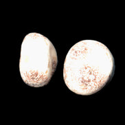 Teardrop Cherry Blossom Jasper 2 stones 10g Rocks and Things Store