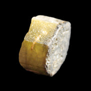 Green Tourmaline crystal 14mm 21g in sunlight - Rocks and Things Store