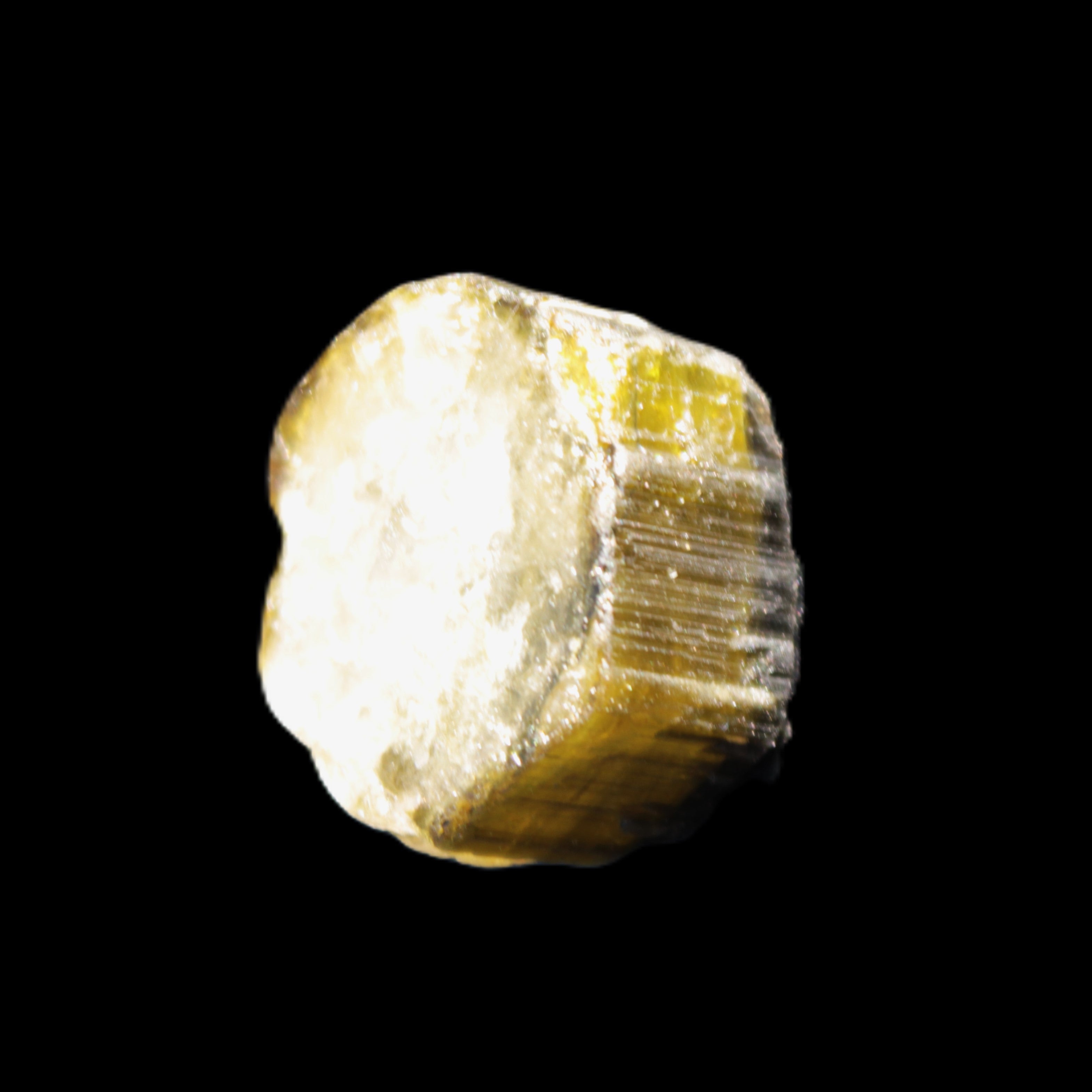 Green Tourmaline crystal 14mm 21g in sunlight - Rocks and Things Store