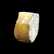 Green Tourmaline crystal 14mm 21g in sunlight - Rocks and Things Store