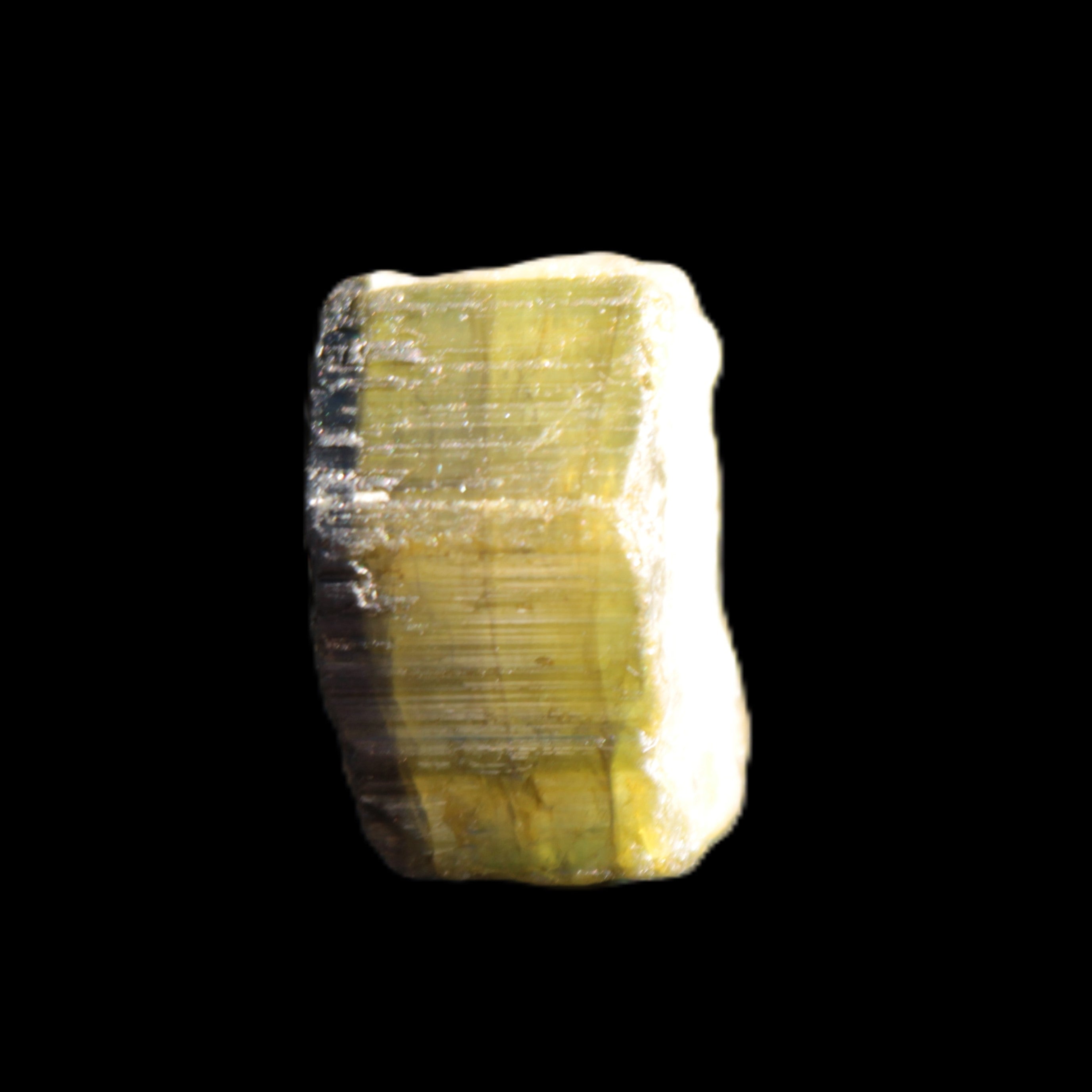 Green Tourmaline crystal 14mm 21g Rocks and Things Store