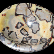 Septarian Dragon Stone bowl 189*148*60mm 2140g in sunlight - Rocks and Things Store