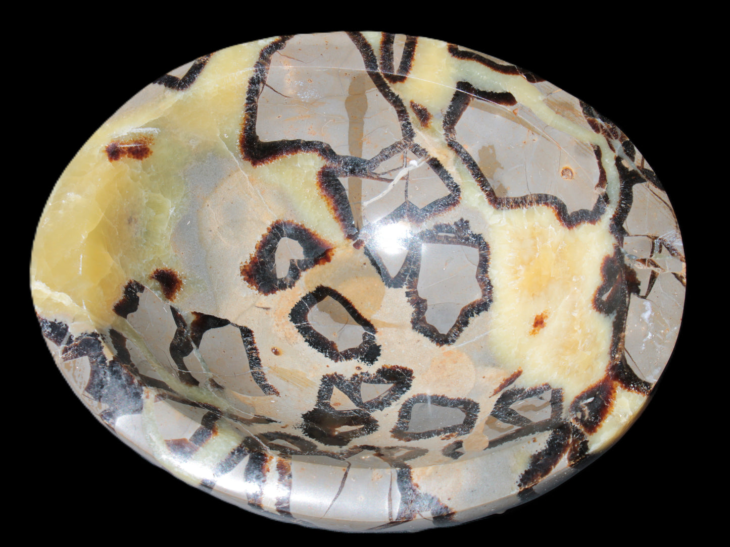 Septarian Dragon Stone bowl 189*148*60mm 2140g