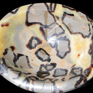 Septarian Dragon Stone bowl 189*148*60mm 2140g in sunlight - Rocks and Things Store