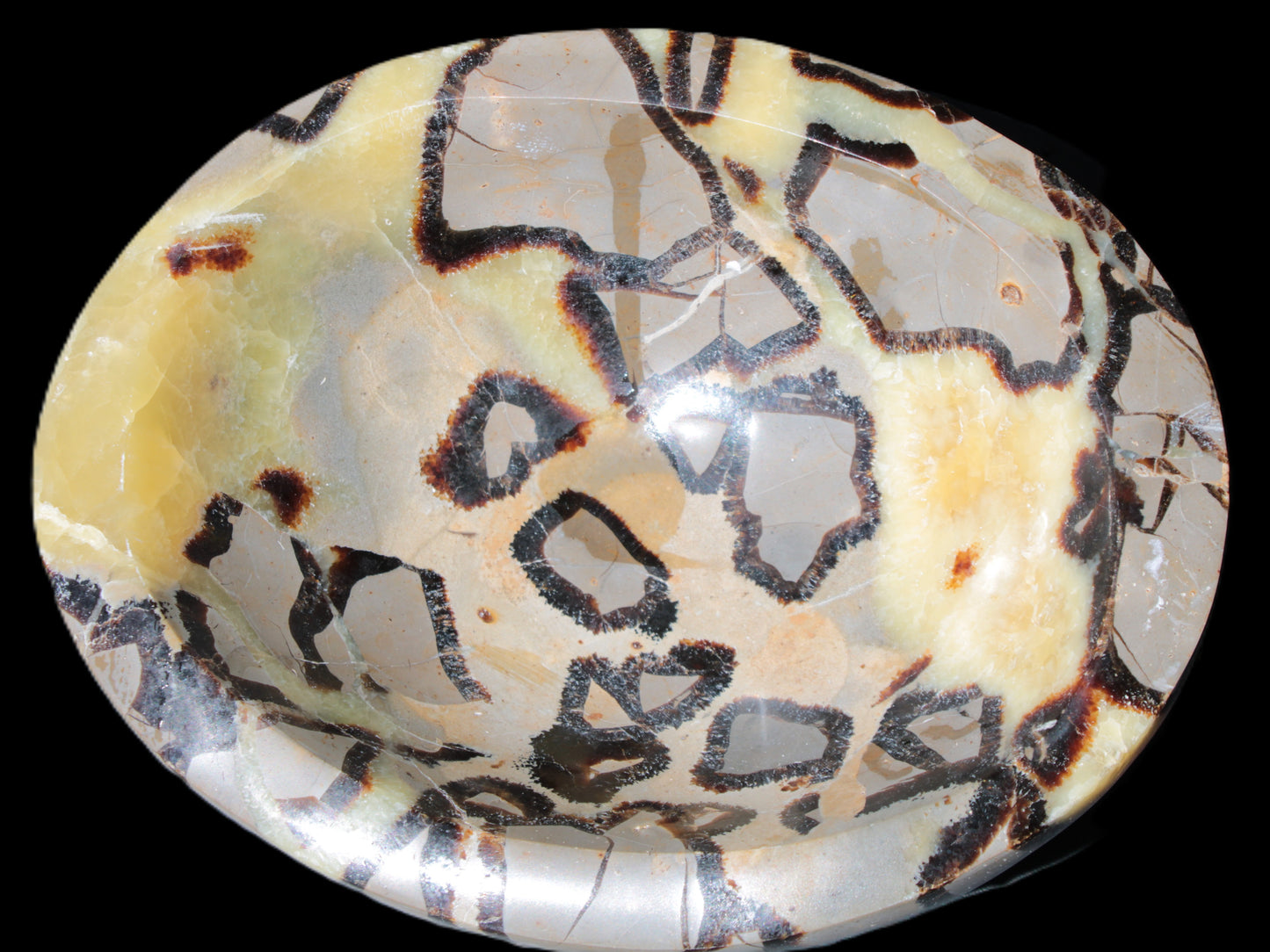 Septarian Dragon Stone bowl 189*148*60mm 2140g