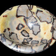Septarian Dragon Stone bowl 189*148*60mm 2140g in sunlight - Rocks and Things Store