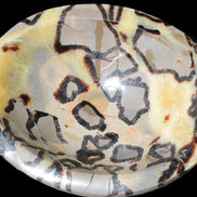 Septarian Dragon Stone bowl 189*148*60mm 2140g in sunlight - Rocks and Things Store