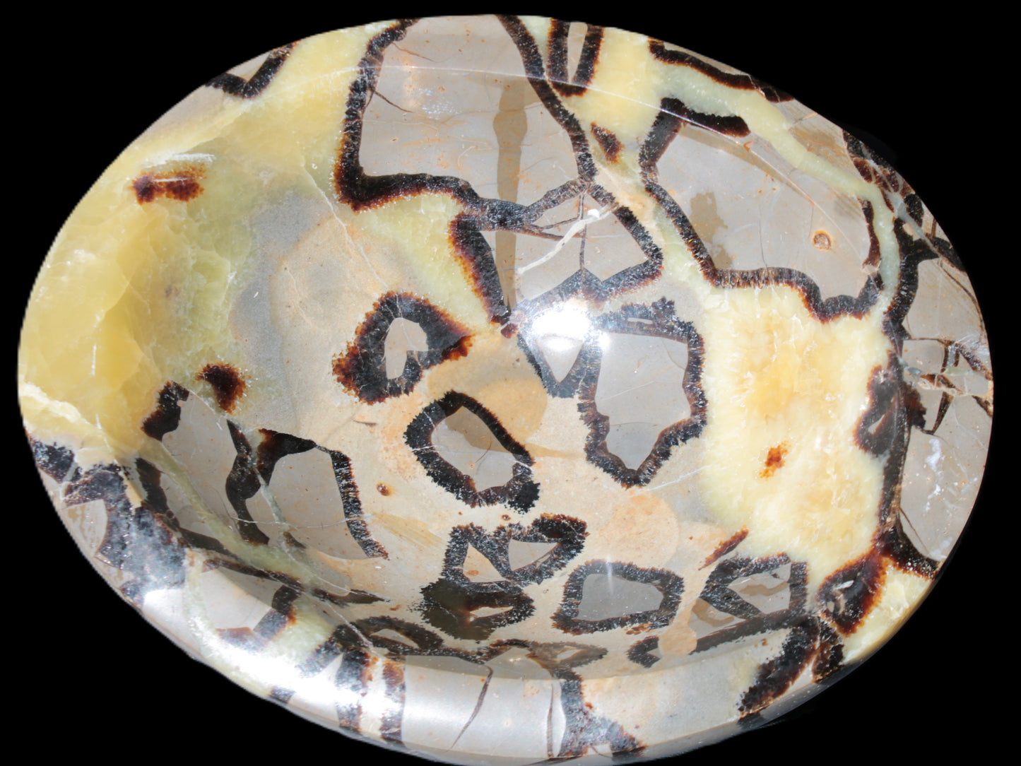 Septarian Dragon Stone bowl 189*148*60mm 2140g