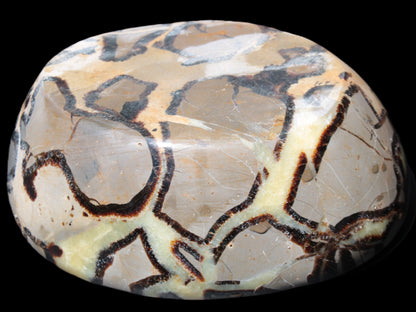 Septarian Dragon Stone bowl 189*148*60mm 2140g