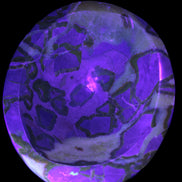 Septarian Dragon Stone bowl 189*148*60mm 2140g in UV light - Rocks and Things Store