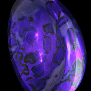 Septarian Dragon Stone bowl 189*148*60mm 2140g in UV light - Rocks and Things Store