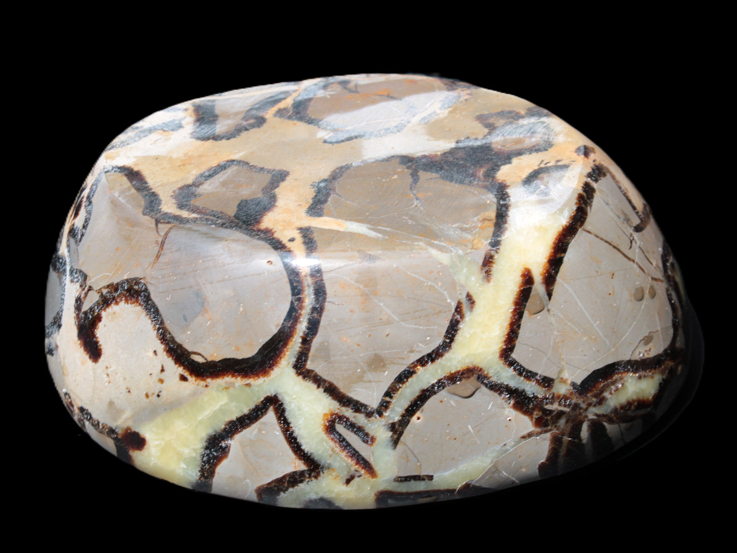 Septarian Dragon Stone bowl 189*148*60mm 2140g