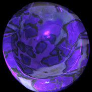 Septarian Dragon Stone bowl 189*148*60mm 2140g in UV light - Rocks and Things Store