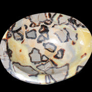 Septarian Dragon Stone bowl 189*148*60mm 2140g in sunlight - Rocks and Things Store