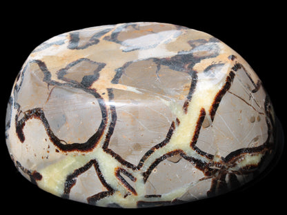 Septarian Dragon Stone bowl 189*148*60mm 2140g