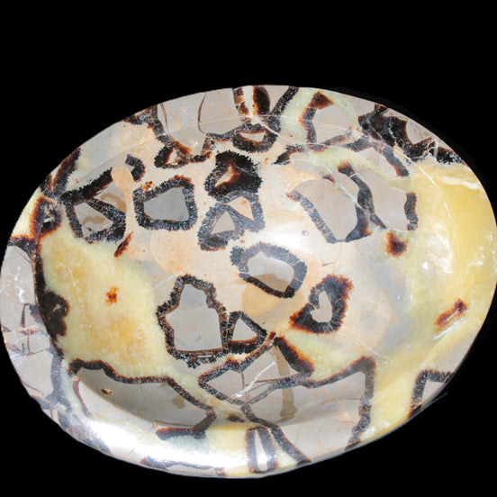 Septarian Dragon Stone bowl 189*148*60mm 2140g in sunlight - Rocks and Things Store