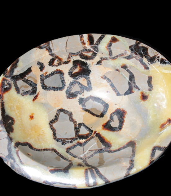 Septarian Dragon Stone bowl 189*148*60mm 2140g
