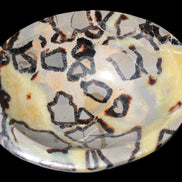 Septarian Dragon Stone bowl 189*148*60mm 2140g in sunlight - Rocks and Things Store