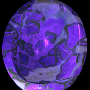 Septarian Dragon Stone bowl 189*148*60mm 2140g in UV light - Rocks and Things Store