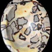 Septarian Dragon Stone bowl 189*148*60mm 2140g in sunlight - Rocks and Things Store