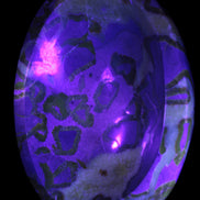 Septarian Dragon Stone bowl 189*148*60mm 2140g in UV light - Rocks and Things Store