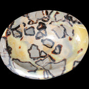 Septarian Dragon Stone bowl 189*148*60mm 2140g in sunlight - Rocks and Things Store