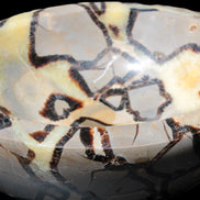 Septarian Dragon Stone bowl 189*148*60mm 2140g in sunlight - Rocks and Things Store