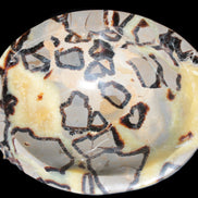 Septarian Dragon Stone bowl 189*148*60mm 2140g in sunlight - Rocks and Things Store