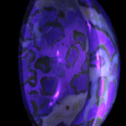 Septarian Dragon Stone bowl 189*148*60mm 2140g in UV light - Rocks and Things Store