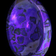 Septarian Dragon Stone bowl 189*148*60mm 2140g in UV light - Rocks and Things Store