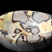 Septarian Dragon Stone bowl 189*148*60mm 2140g in sunlight - Rocks and Things Store