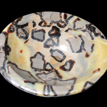 Septarian Dragon Stone bowl 189*148*60mm 2140g