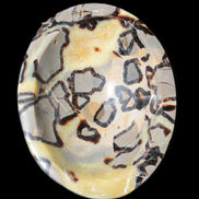 Septarian Dragon Stone bowl 189*148*60mm 2140g in sunlight - Rocks and Things Store