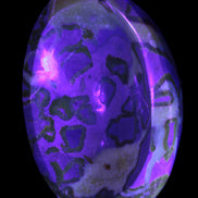 Septarian Dragon Stone bowl 189*148*60mm 2140g in UV light - Rocks and Things Store