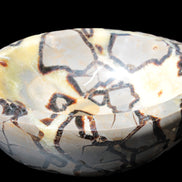 Septarian Dragon Stone bowl 189*148*60mm 2140g in sunlight - Rocks and Things Store