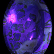 Septarian Dragon Stone bowl 189*148*60mm 2140g in UV light - Rocks and Things Store